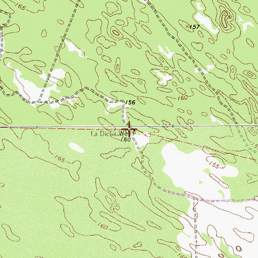 Topographic Map of La Dicha Well, TX