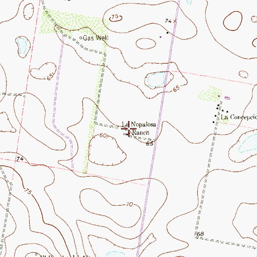 Topographic Map of La Nopalosa Ranch, TX