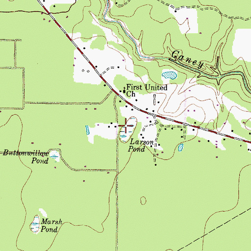 Topographic Map of Larson Pond, TX