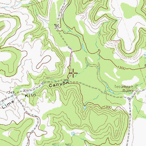 Topographic Map of Lime Kiln Canyon, TX