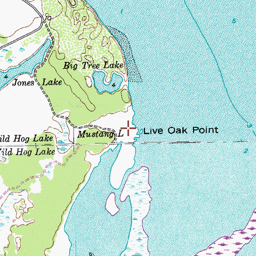 Topographic Map of Live Oak Point, TX