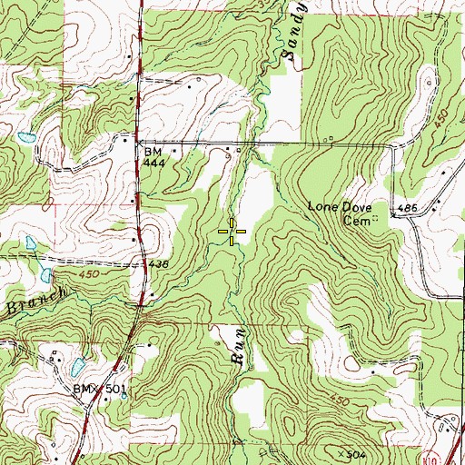 Topographic Map of Lizard Run, TX