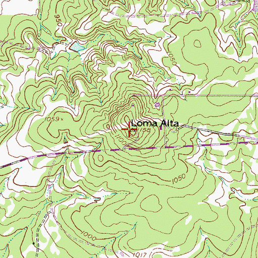 Topographic Map of Loma Alta, TX