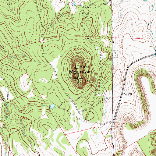 Topographic Map of Lone Mountain, TX