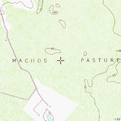 Topographic Map of Los Machos Pasture, TX
