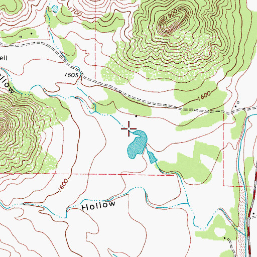 Topographic Map of Marshy Hollow, TX