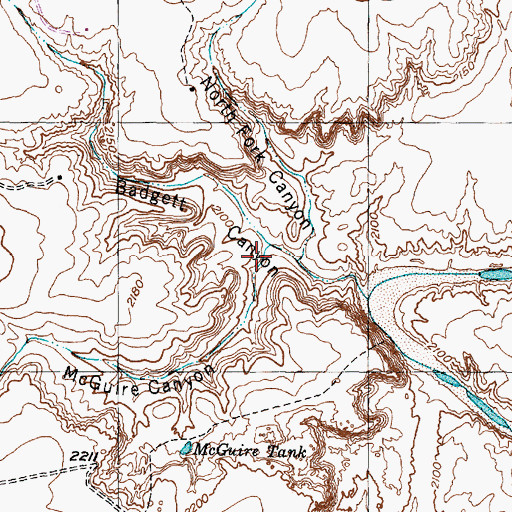 Topographic Map of McGuire Canyon, TX