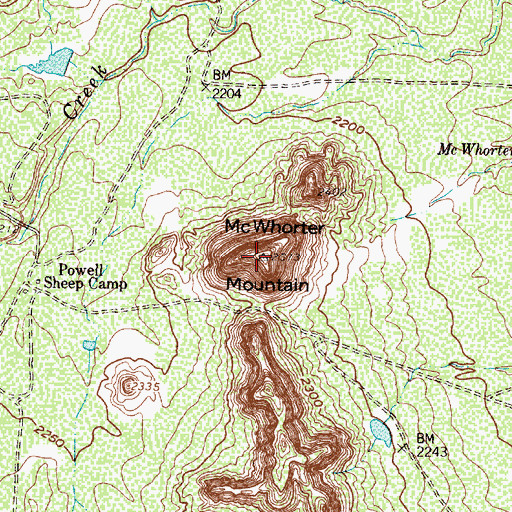 Topographic Map of McWhorter Mountain, TX