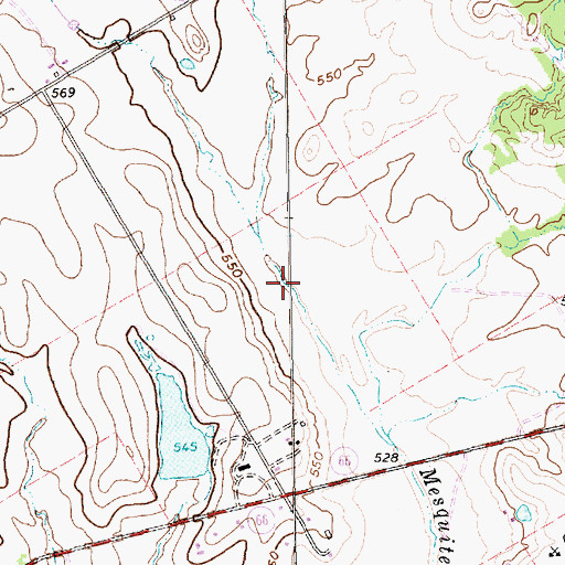 Topographic Map of Mesquite Branch, TX