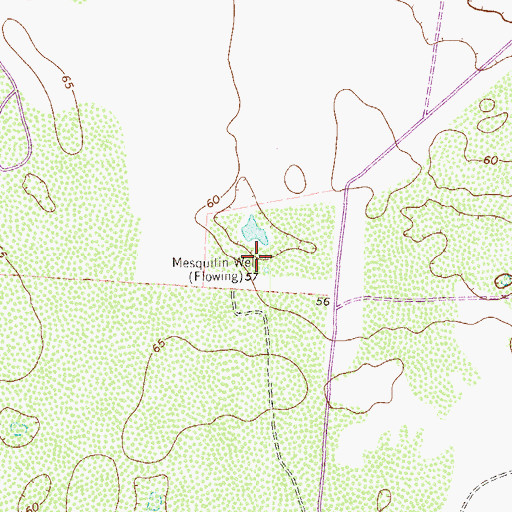 Topographic Map of Mesquitin Well, TX
