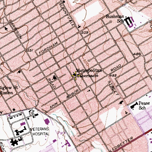 Topographic Map of Metropolitan Tabernacle, TX