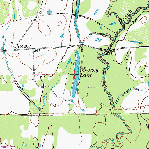Topographic Map of Mooney Lake, TX