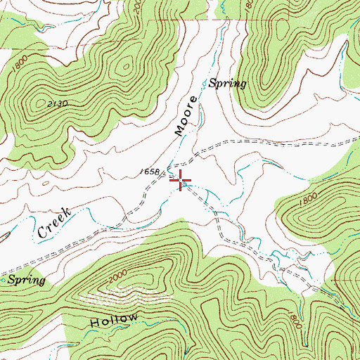 Topographic Map of Moore Hollow, TX