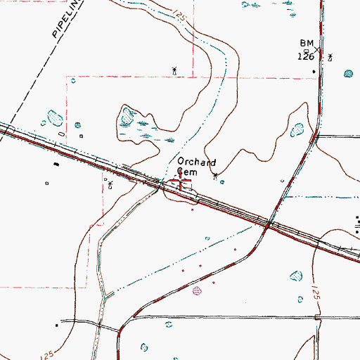 Topographic Map of Orchard Cemetery, TX