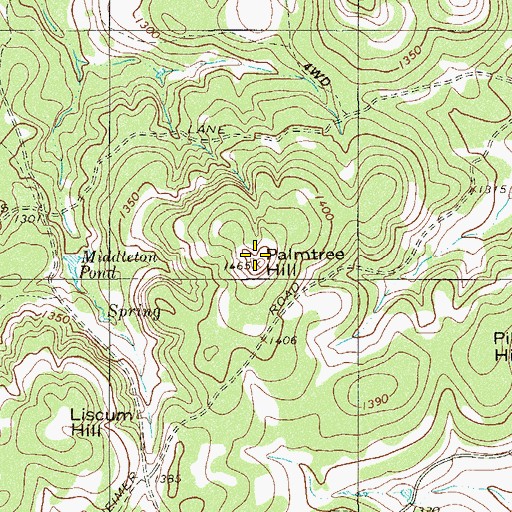 Topographic Map of Palmtree Hill, TX