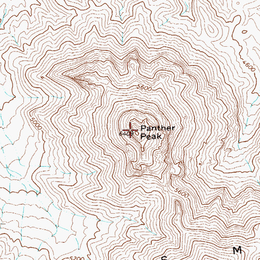 Topographic Map of Panther Peak, TX