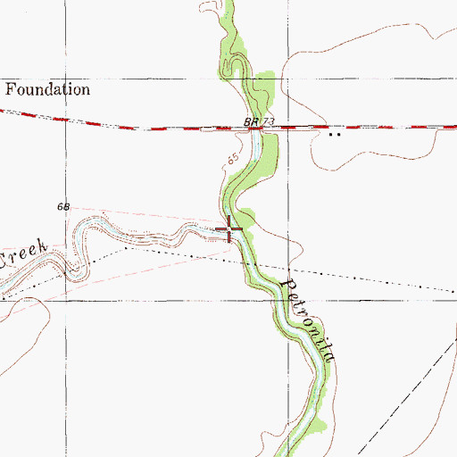 Topographic Map of Pintas Creek, TX