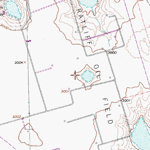 Topographic Map of Ratliff Oil Field, TX