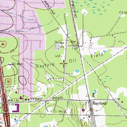Topographic Map of Rayford Oil Field, TX