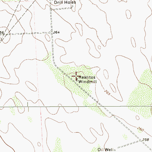 Topographic Map of Realitos Windmill, TX