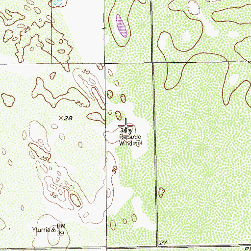 Topographic Map of Repardo Windmill, TX
