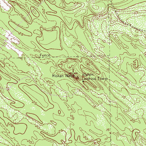 Topographic Map of Risken Well, TX