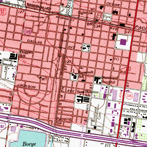 Topographic Map of Roosevelt School, TX