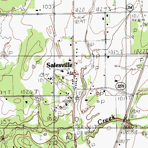 Topographic Map of Salesville, TX