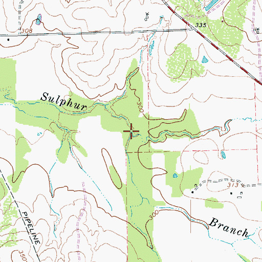 Topographic Map of Salt Branch, TX