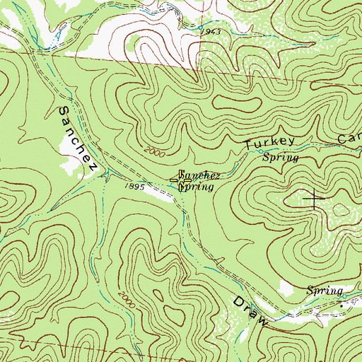 Topographic Map of Sanchez Spring, TX