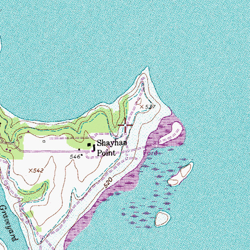 Topographic Map of Shayhan Point, TX