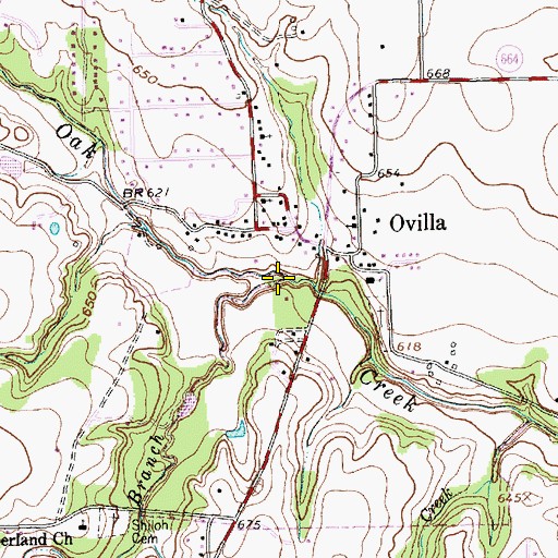 Topographic Map of Shiloh Branch, TX