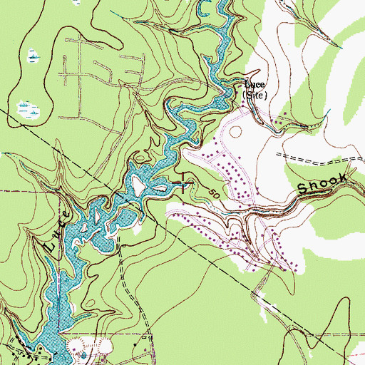 Topographic Map of Shook Gully, TX