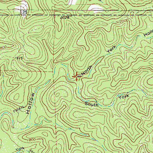 Topographic Map of South York Hollow, TX