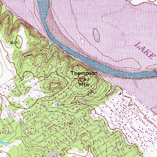 Topographic Map of Thompson Mountain, TX