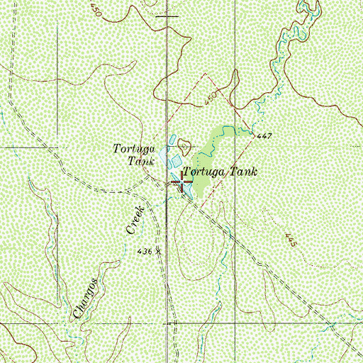 Topographic Map of Tortuga Tank, TX