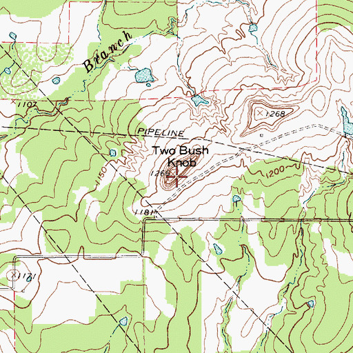 Topographic Map of Two Bush Knob, TX