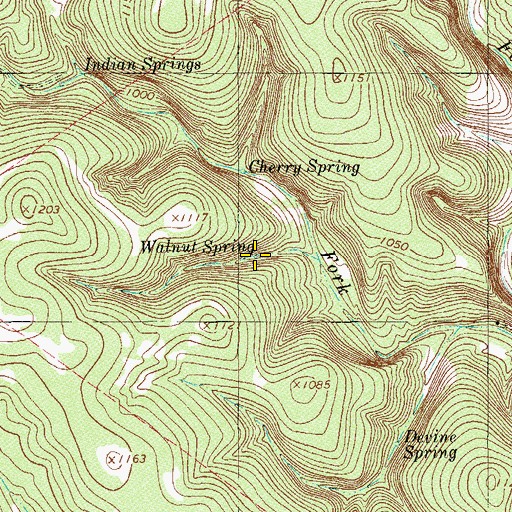 Topographic Map of Walnut Spring, TX