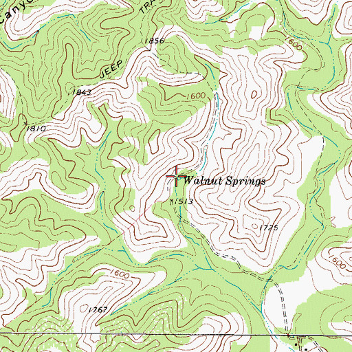 Topographic Map of Walnut Springs, TX
