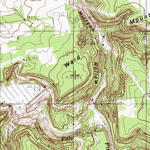 Topographic Map of Ward Mountain, TX