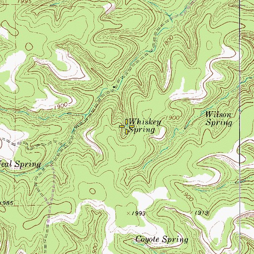Topographic Map of Whiskey Spring, TX