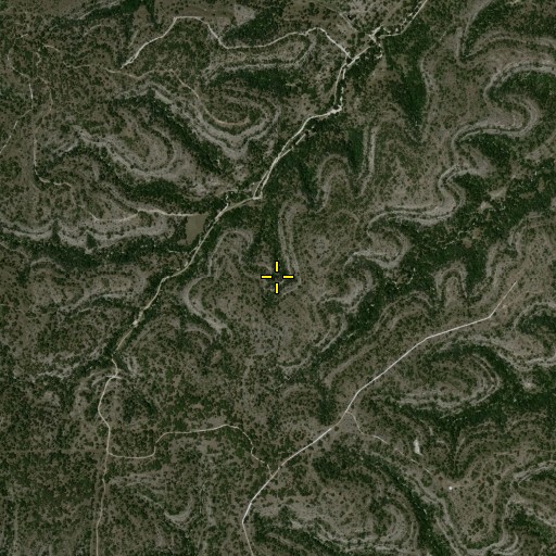 Aerial/Satellite Image of Whiskey Spring, TX
