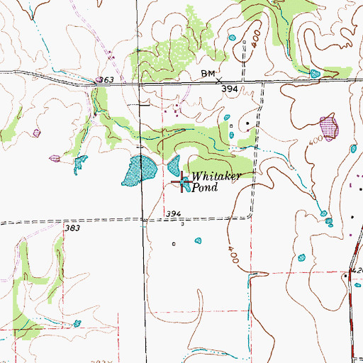Topographic Map of Whitaker Pond, TX