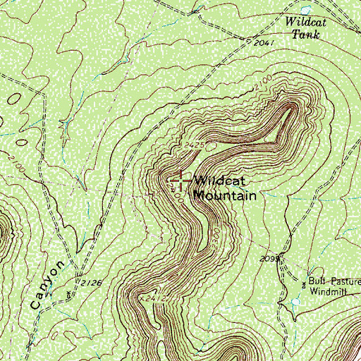 Topographic Map of Wildcat Mountain, TX