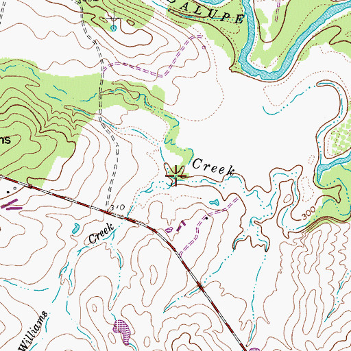 Topographic Map of Williams Creek, TX