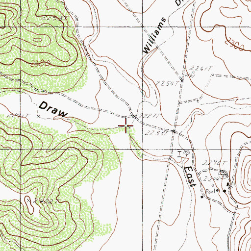 Topographic Map of Williams Draw, TX