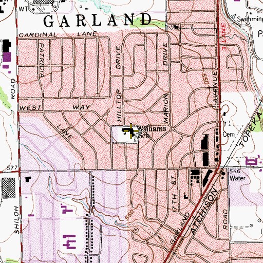 Topographic Map of Williams School, TX