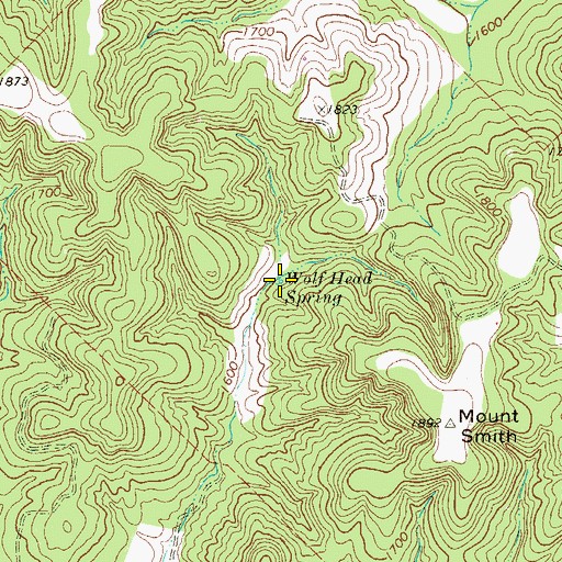 Topographic Map of Wolf Head Spring, TX