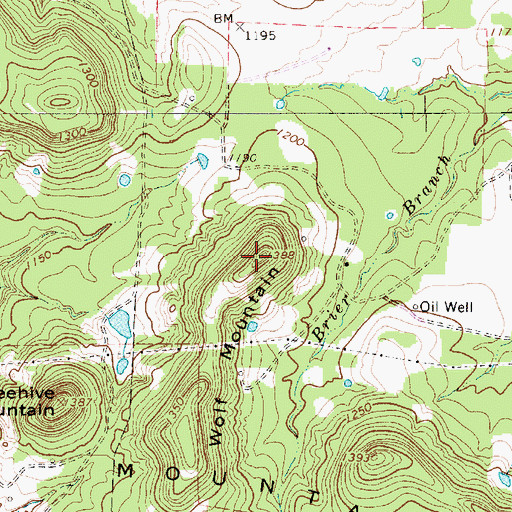 Topographic Map of Wolf Mountain, TX