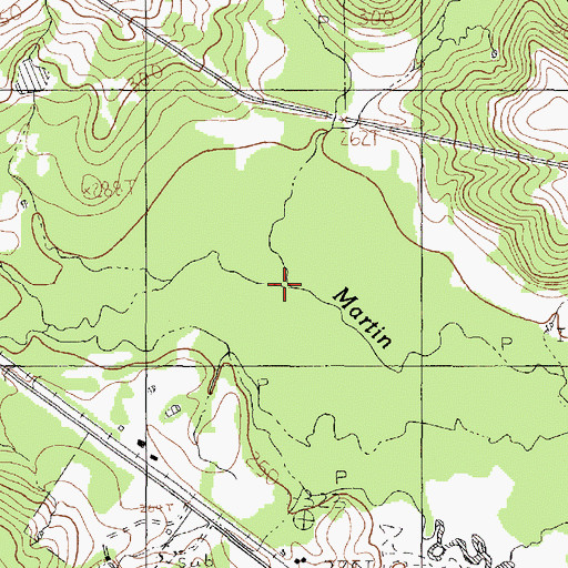 Topographic Map of Alder Branch, TX